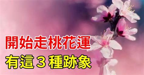 桃花來的徵兆|一個人，開始走桃花運，有這三種跡象 – 海海人生